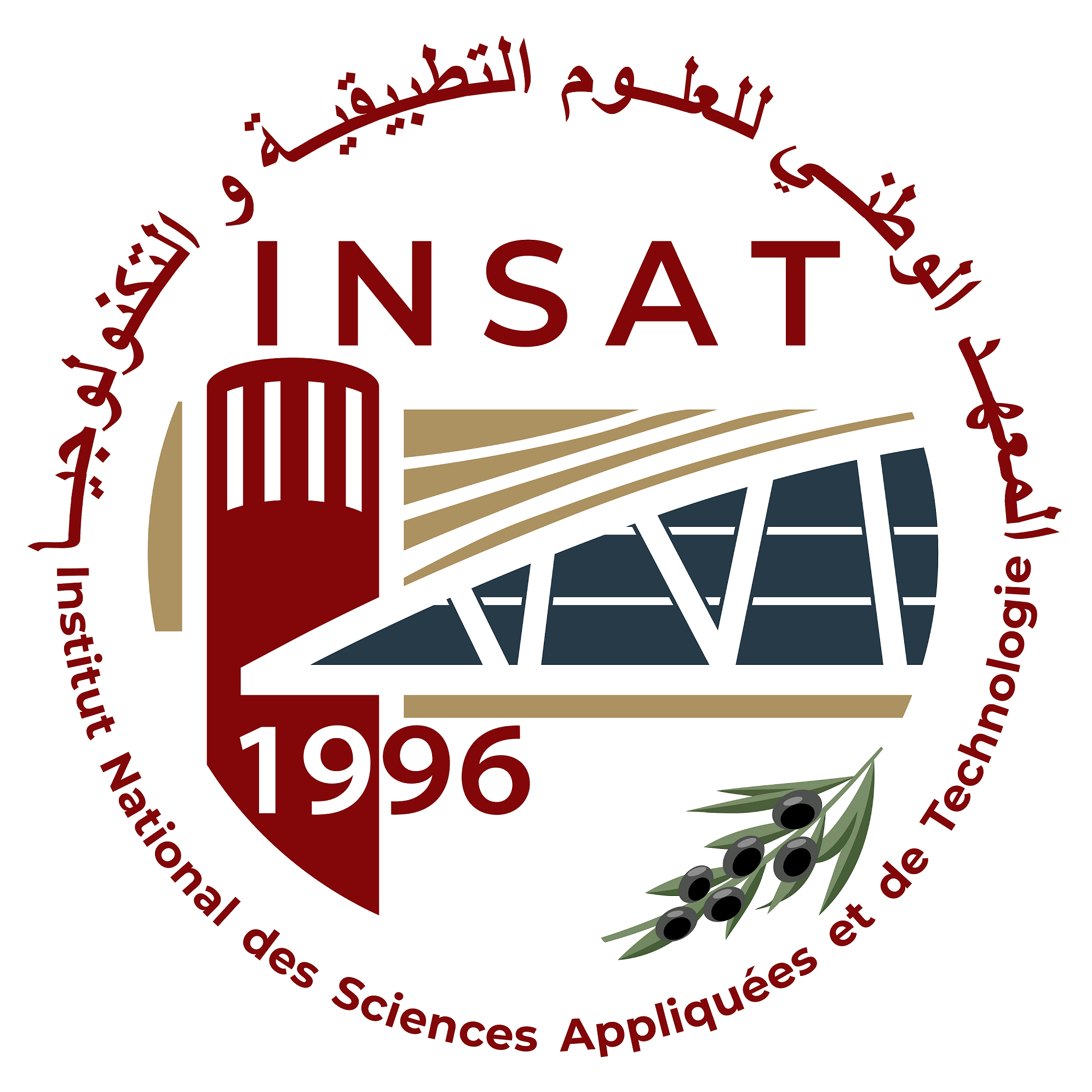 INSAT Logo